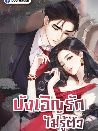 Accidental Love - บังเอิญรักไม่รู้ตัวว